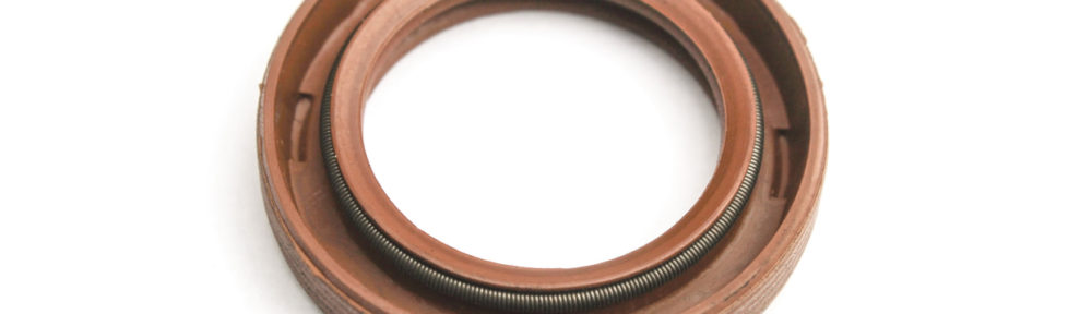 Gland seal vs mechanical seal
